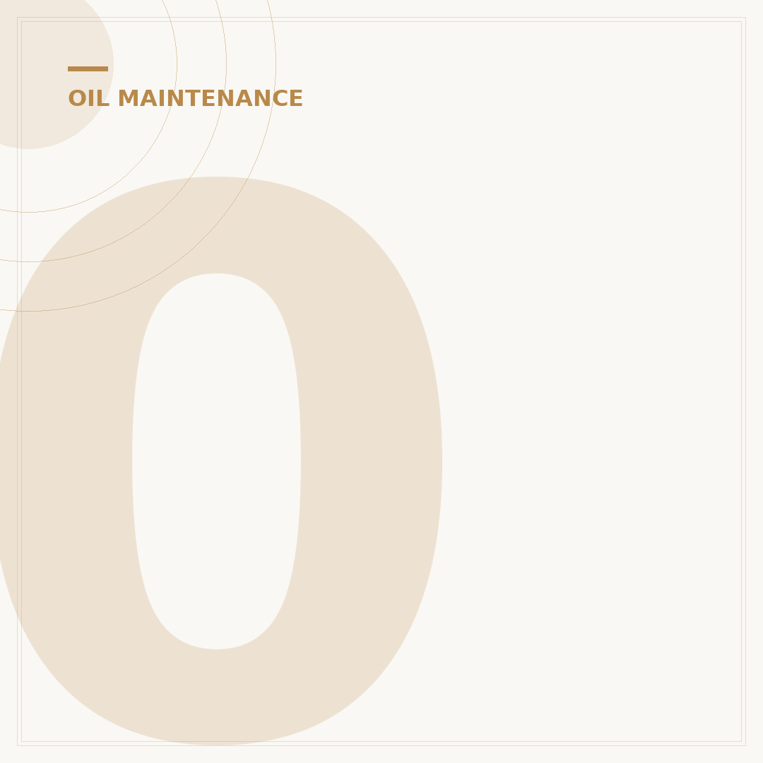 05 Scion XB Oil Filter: Your Quick Guide to Replacement & Specs