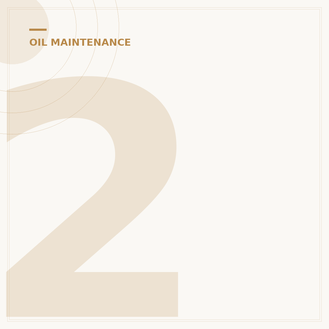 2009 BMW 328i Oil Filter: Your 7-Step DIY Guide