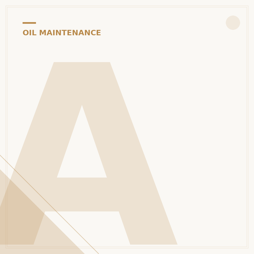 Acura MDX 2008 Oil Filter: 5 Key Specs for Peak Engine Health