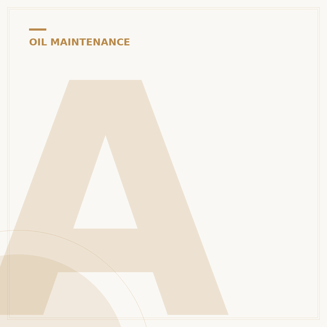 Advance Auto Parts: Do They Recycle Oil? 5 Key Facts