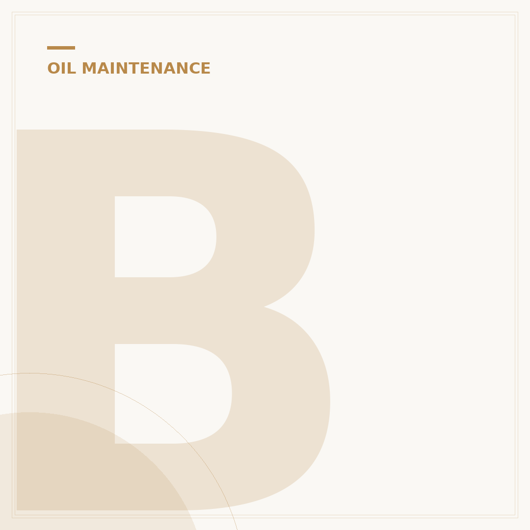 BMW Oil Filter Housing Gasket: Replacement Cost & What to Expect