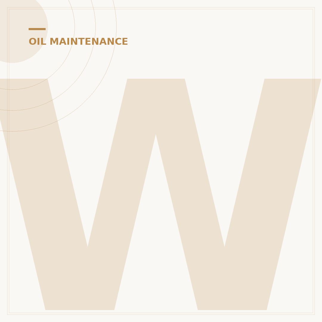 Where to Dispose of Used Motor Oil: 7 Local Options Near You