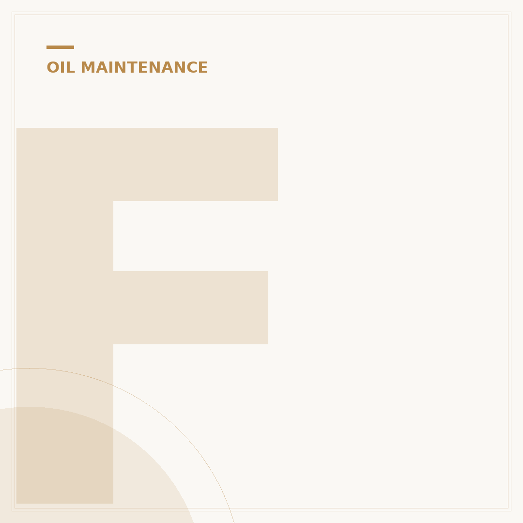 Fiesta ST Oil Filter: 5 Key Facts for Optimal Performance