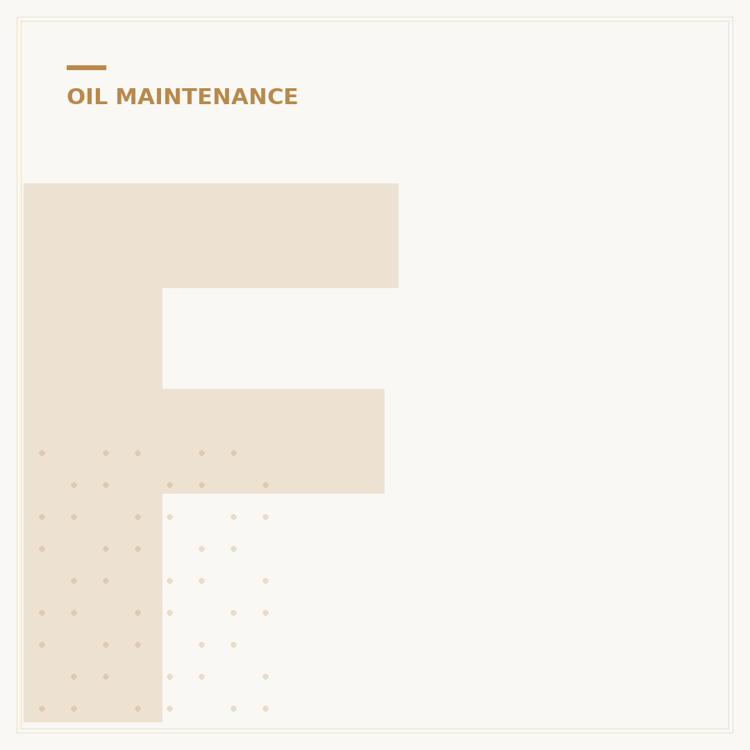 Fram Oil Filter Conversion: A 5-Minute Primer