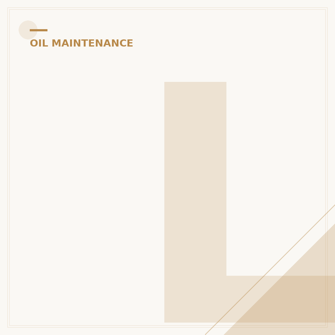 Liqui Moly MOS2 Oil Additive: 5 Engine-Saving Benefits