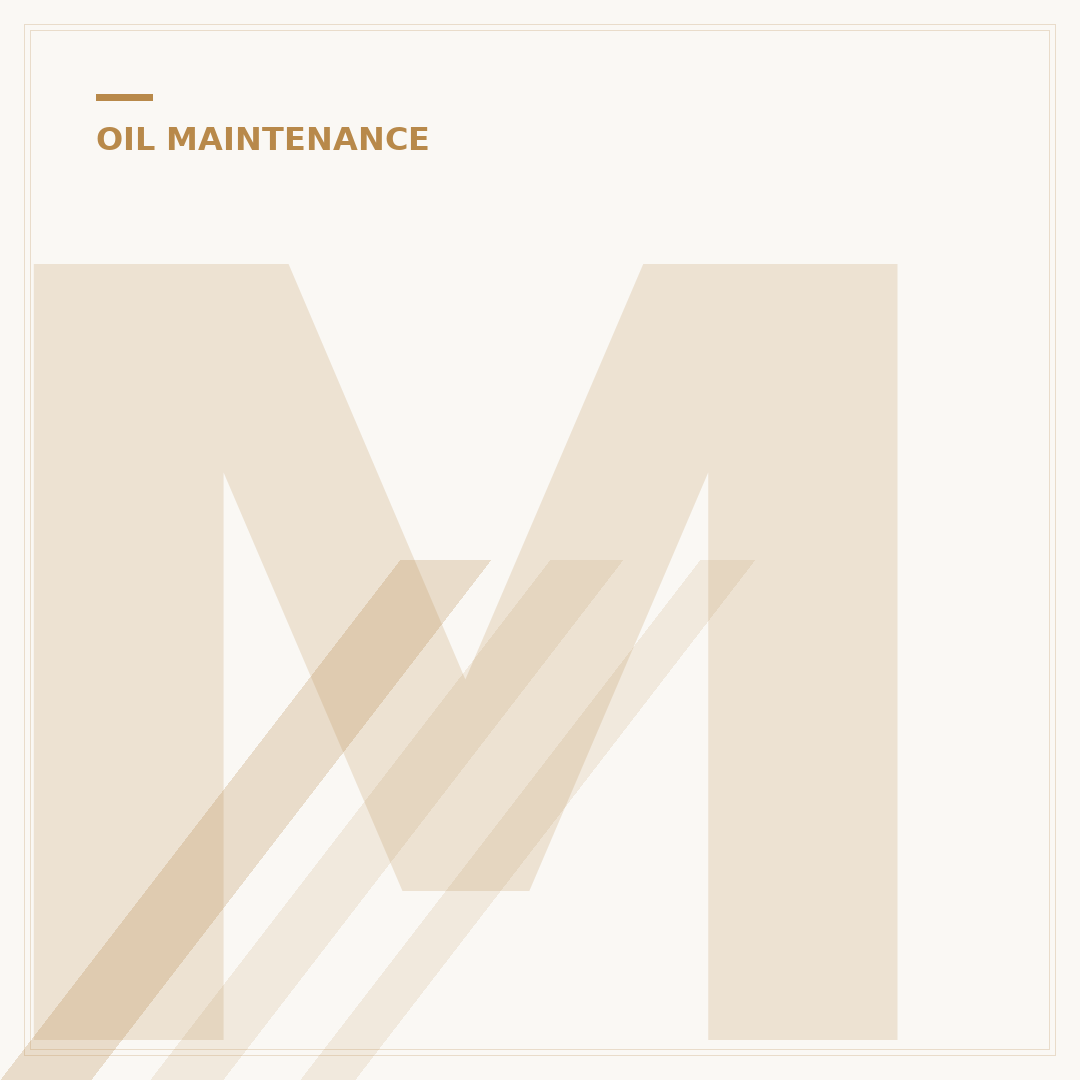 MANN+HUMMEL Oil Filter: 5 Ways It Protects Your Engine