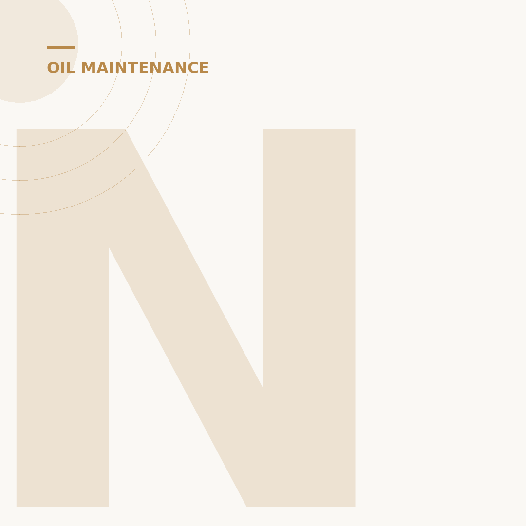 NAPA 1372 Oil Filter Fits What Vehicle? 2024 Compatibility Guide