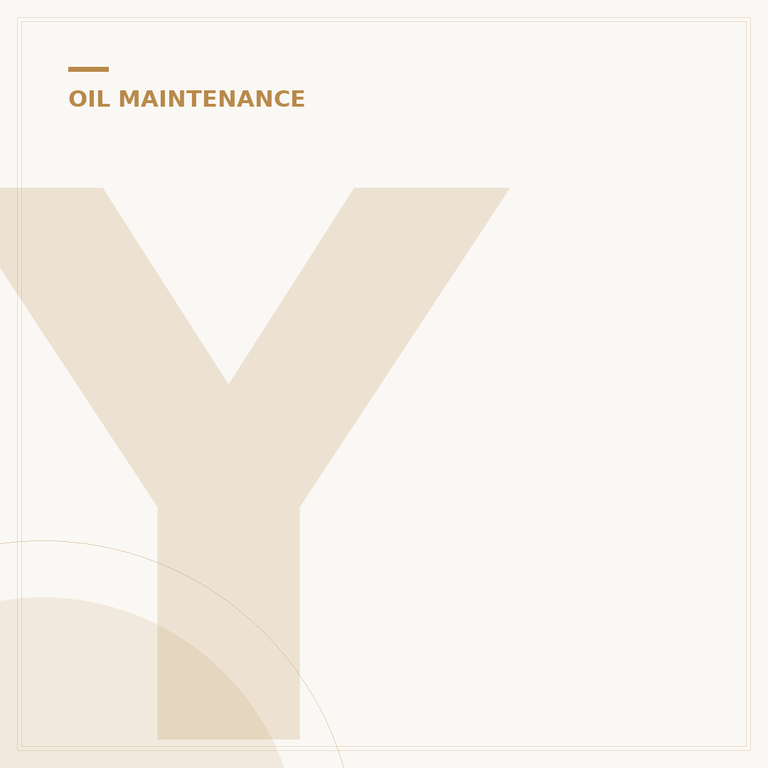 Your Car Needs Oil: 5 Signs It's Time for a Change