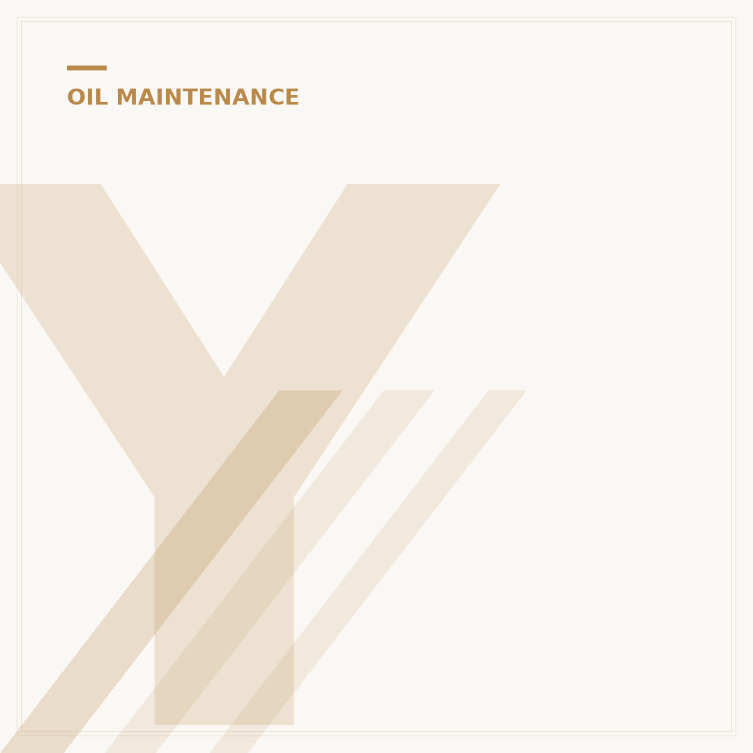 Your First Oil Filter Change Service: A Simple 3-Step Guide