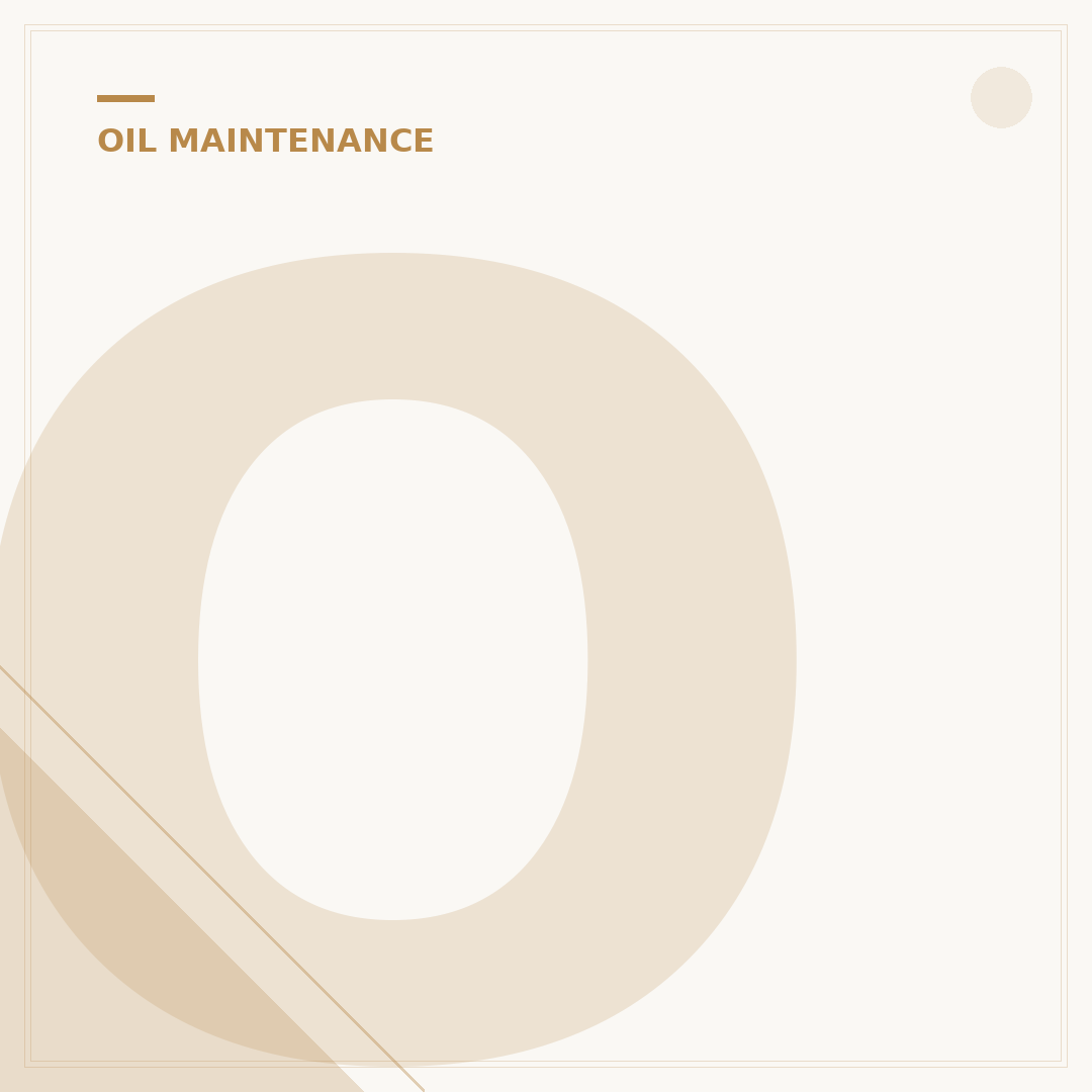 Oil Filter Image: 5 Signs Your Car Needs One