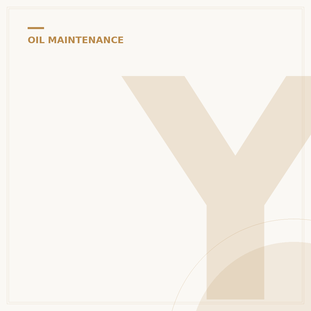 Your Essential Oil Filter Kit: 5 Steps to Engine Longevity