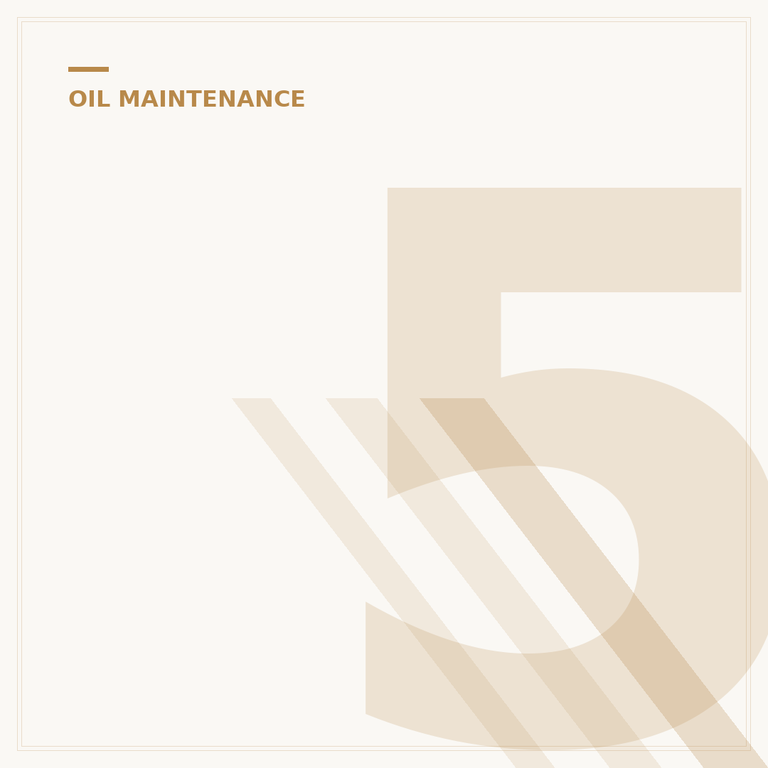 5 Free Ways to Remove an Oil Filter: DIY Tips
