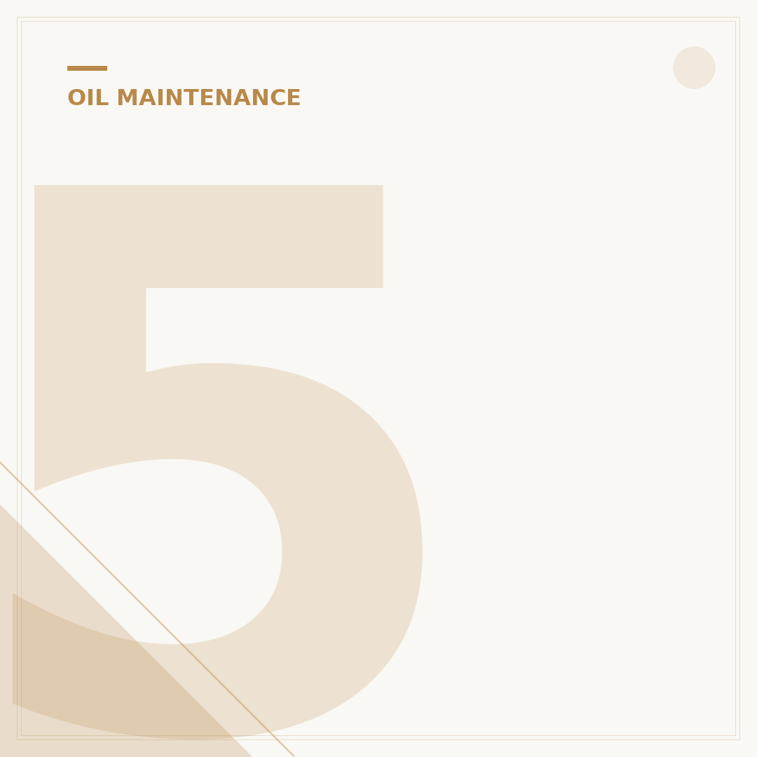 5 Best Oil Filter Wrenches for Toyota Camry: DIY Guide