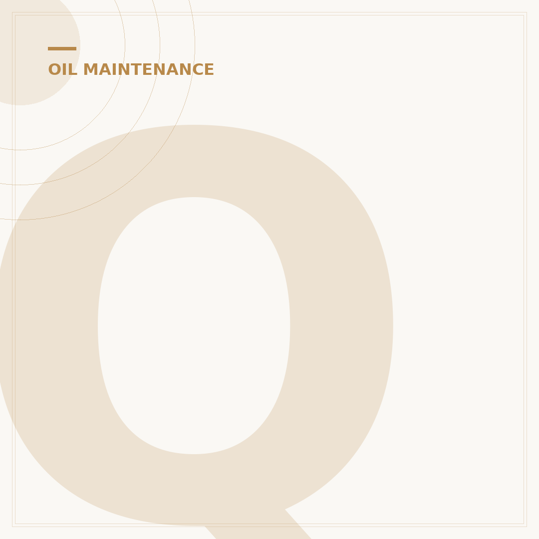 Quiet Lifters: 5 Oil Additives to Silence Engine Noise