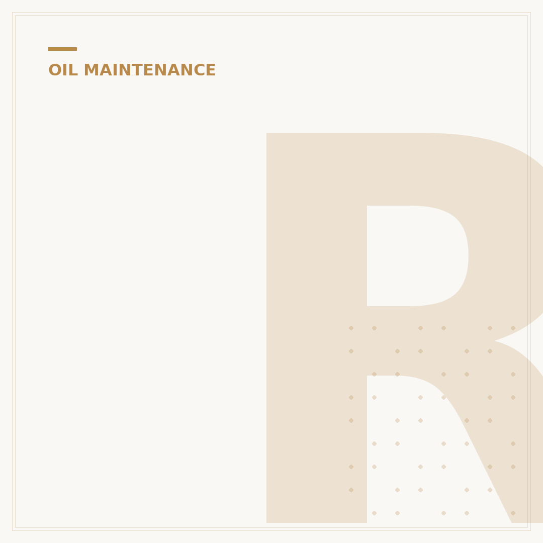 Reusable Harley Oil Filter: Your 5-Year Upgrade