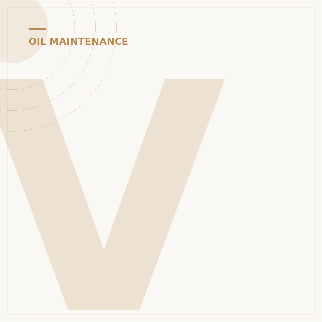 Vanguard 23 HP Oil Filter: Your 5-Point Maintenance Guide