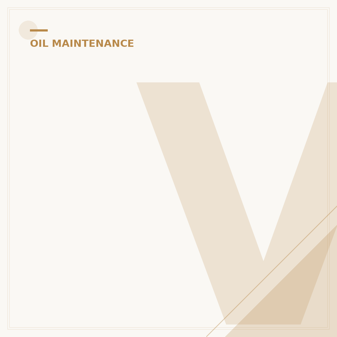 VW Jetta Oil Filter: 3 Signs It's Time for a Change